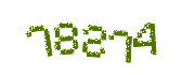 Security check